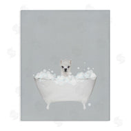 Leah Straatsma | Alpaca Blue Bath Cute