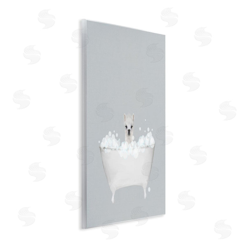 Leah Straatsma | Alpaca Blue Bath Cute