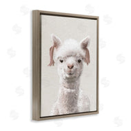 Ziwei Li | Llama Portrait Animal