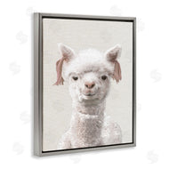 Ziwei Li | Llama Portrait Animal
