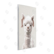Ziwei Li | Llama Portrait Animal