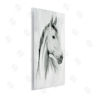 Grace Popp | Horse Portrait Grey Drawing