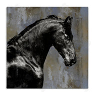 Melonie Miller | Black Stallion Horse Portrait