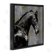 Melonie Miller | Black Stallion Horse Portrait
