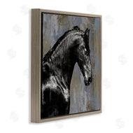 Melonie Miller | Black Stallion Horse Portrait