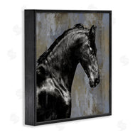 Melonie Miller | Black Stallion Horse Portrait