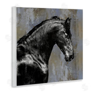 Melonie Miller | Black Stallion Horse Portrait