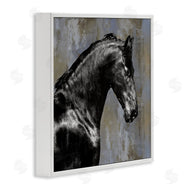 Melonie Miller | Black Stallion Horse Portrait