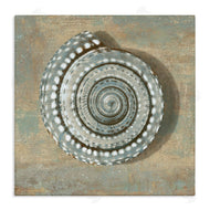 Christy McKee | Spiral Shell Beach Objects Design
