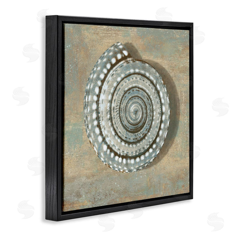 Christy McKee | Spiral Shell Beach Objects Design