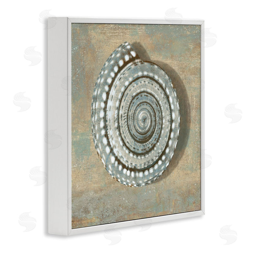 Christy McKee | Spiral Shell Beach Objects Design