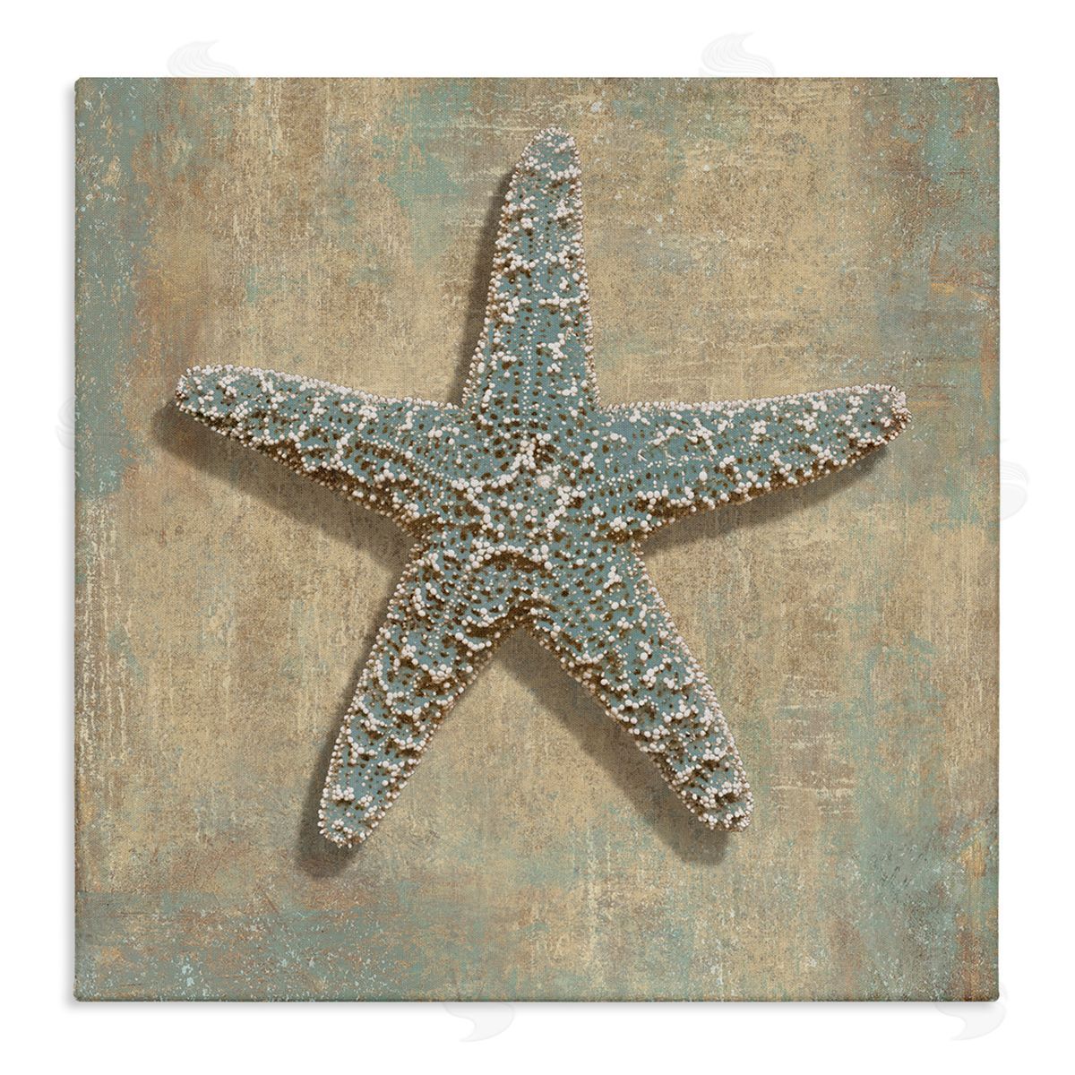 Starfish Beach Objects Design Canvas Wall Art, Home Decor by Caroline Kelly