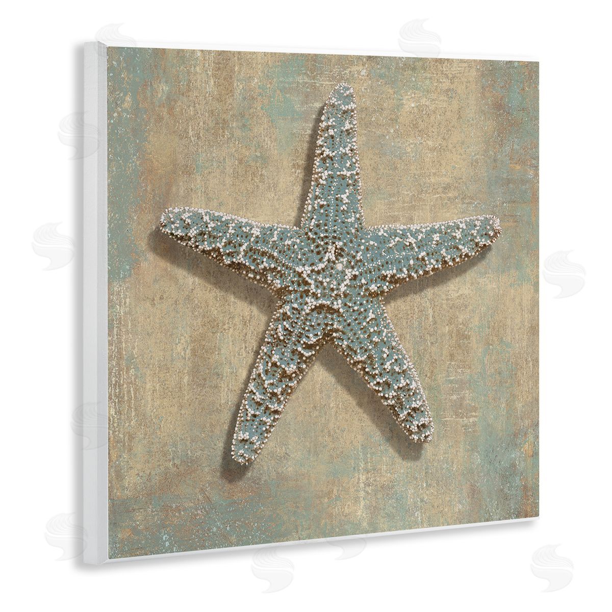 Starfish Beach Objects Design Wood Plaque Wall Art, Home Decor by Caroline Kelly