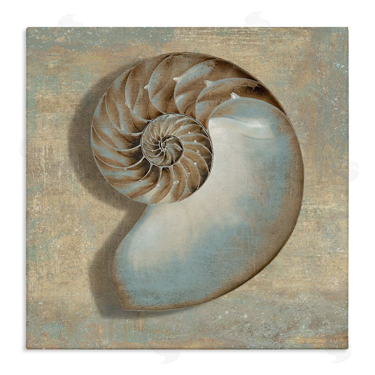 Shell Beach Objects Design Canvas Wall Art, Home Decor by Caroline Kelly