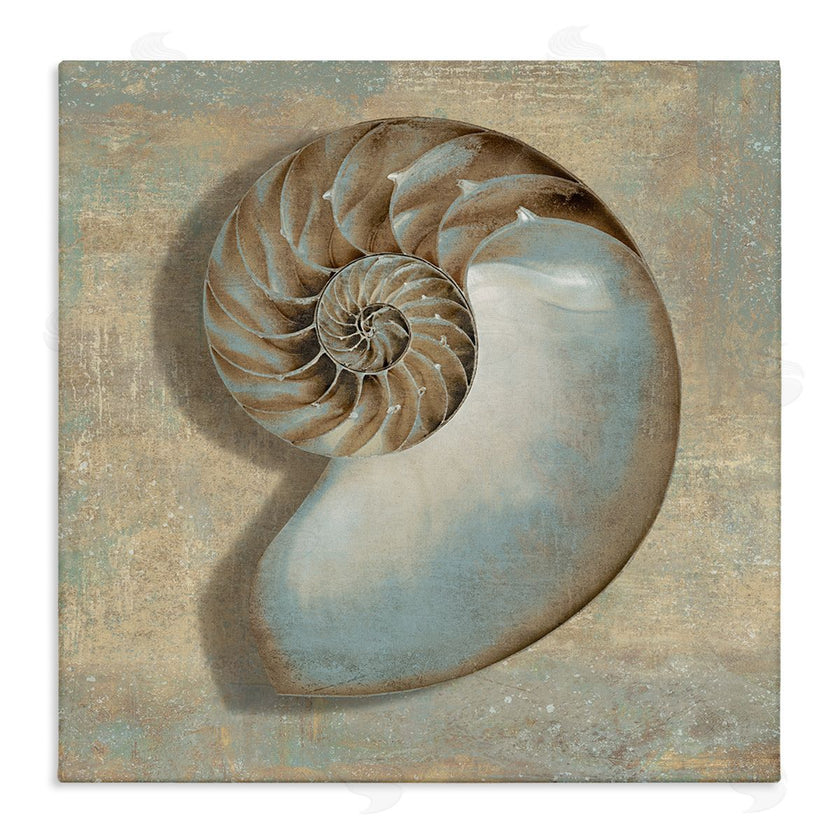 Caroline Kelly | Shell Beach Objects Design