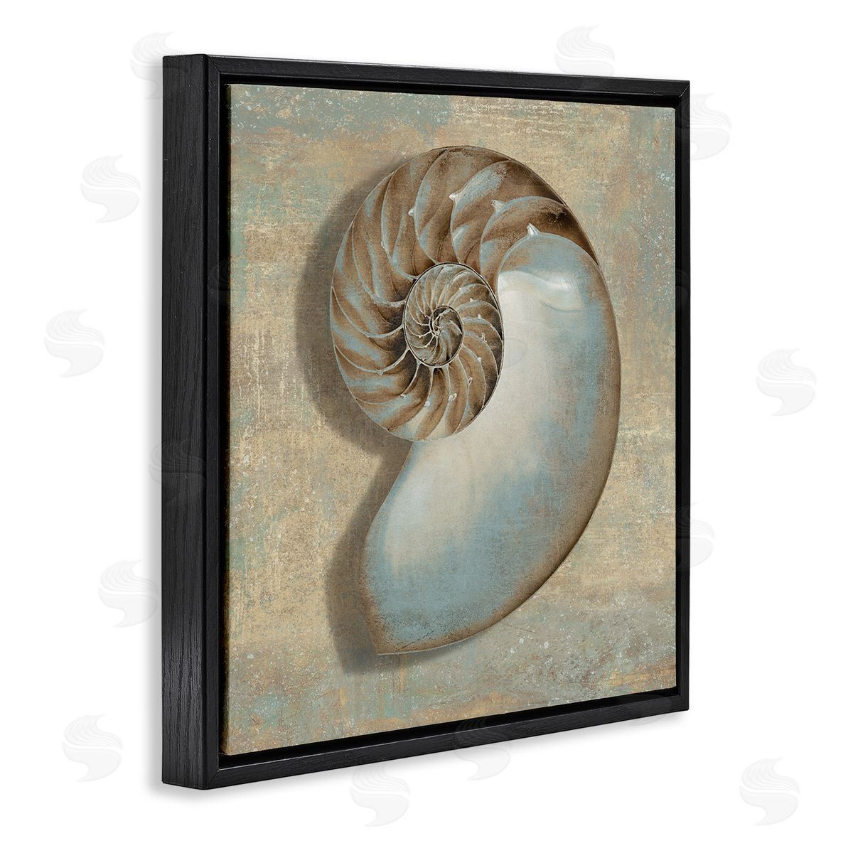 Shell Beach Objects Design Black Floating Frame Canvas Wall Art, Home Decor by Caroline Kelly
