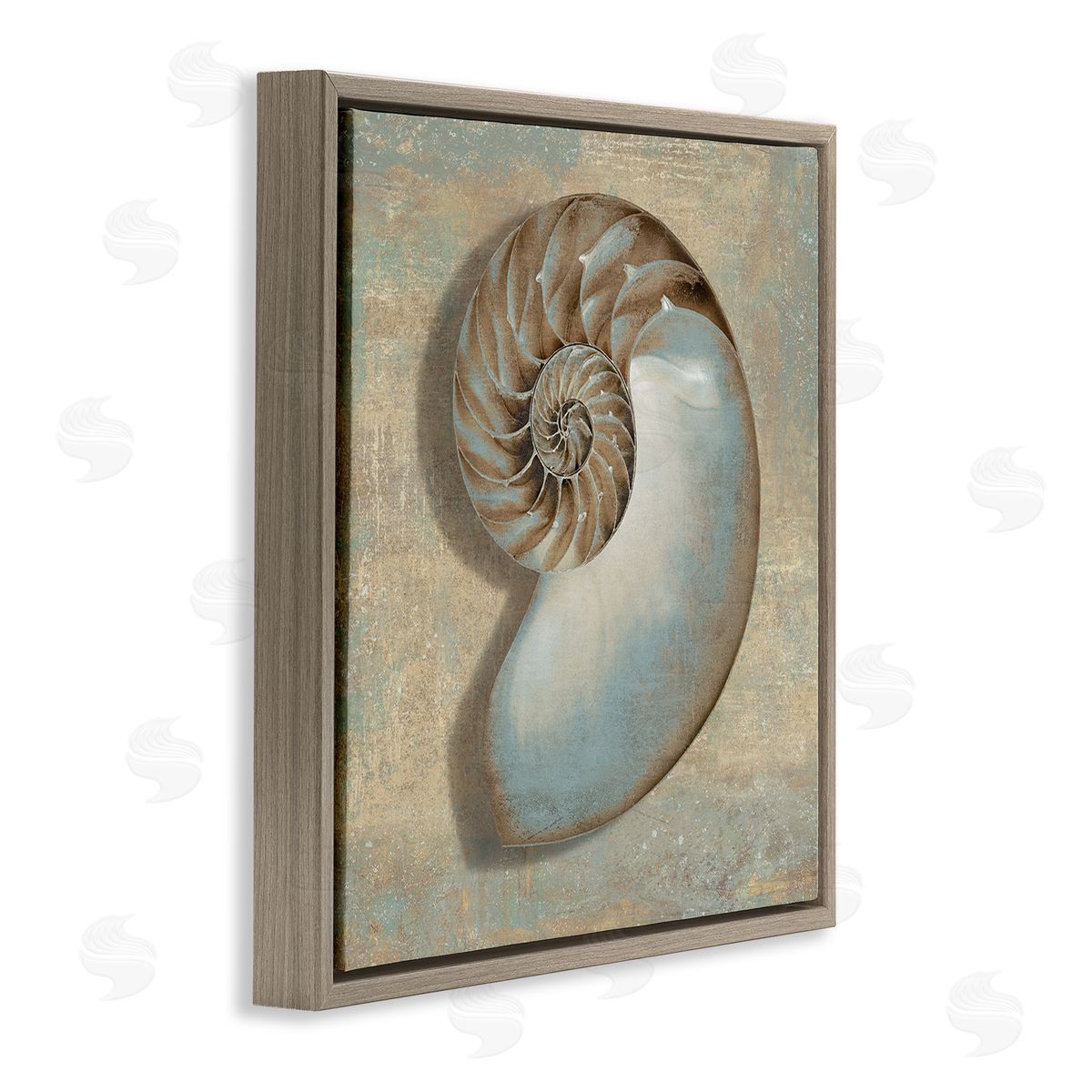 Shell Beach Objects Design Brown Floating Frame Canvas Wall Art, Home Decor by Caroline Kelly