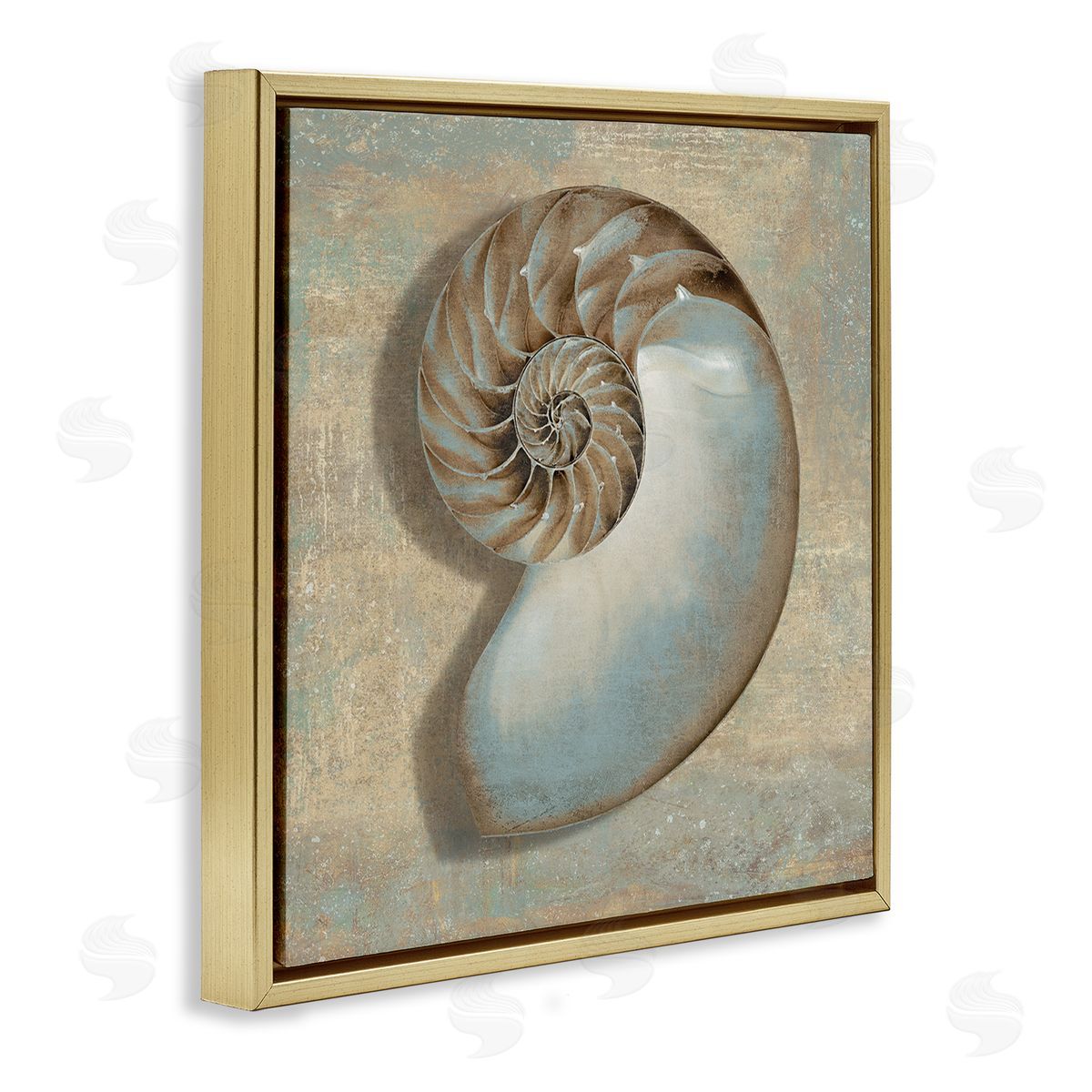 Shell Beach Objects Design Gold Floating Frame Canvas Wall Art, Home Decor by Caroline Kelly