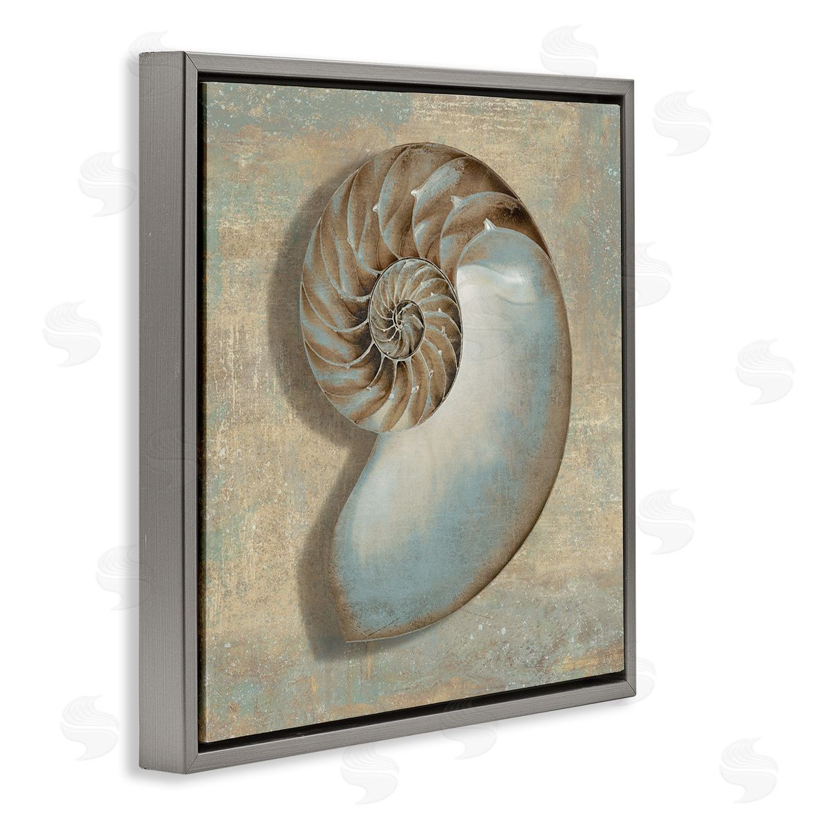 Shell Beach Objects Design Grey Floating Frame Canvas Wall Art, Home Decor by Caroline Kelly