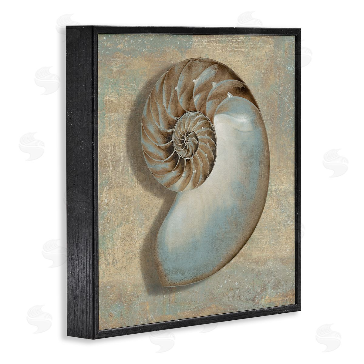 Shell Beach Objects Design Black Frame Print Wall Art, Home Decor by Caroline Kelly