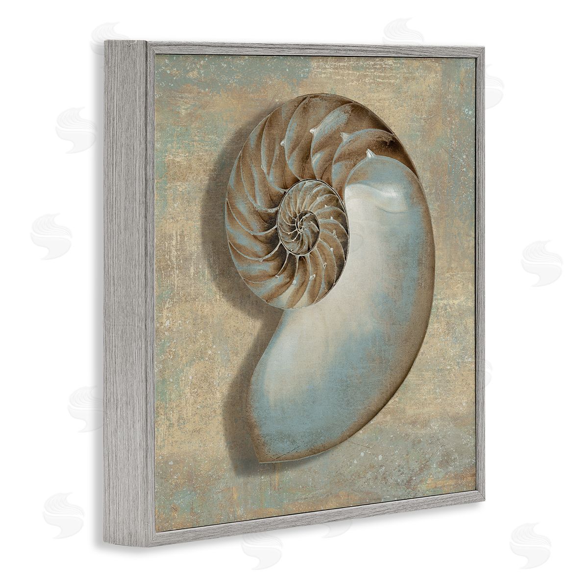 Shell Beach Objects Design Grey Frame Print Wall Art, Home Decor by Caroline Kelly