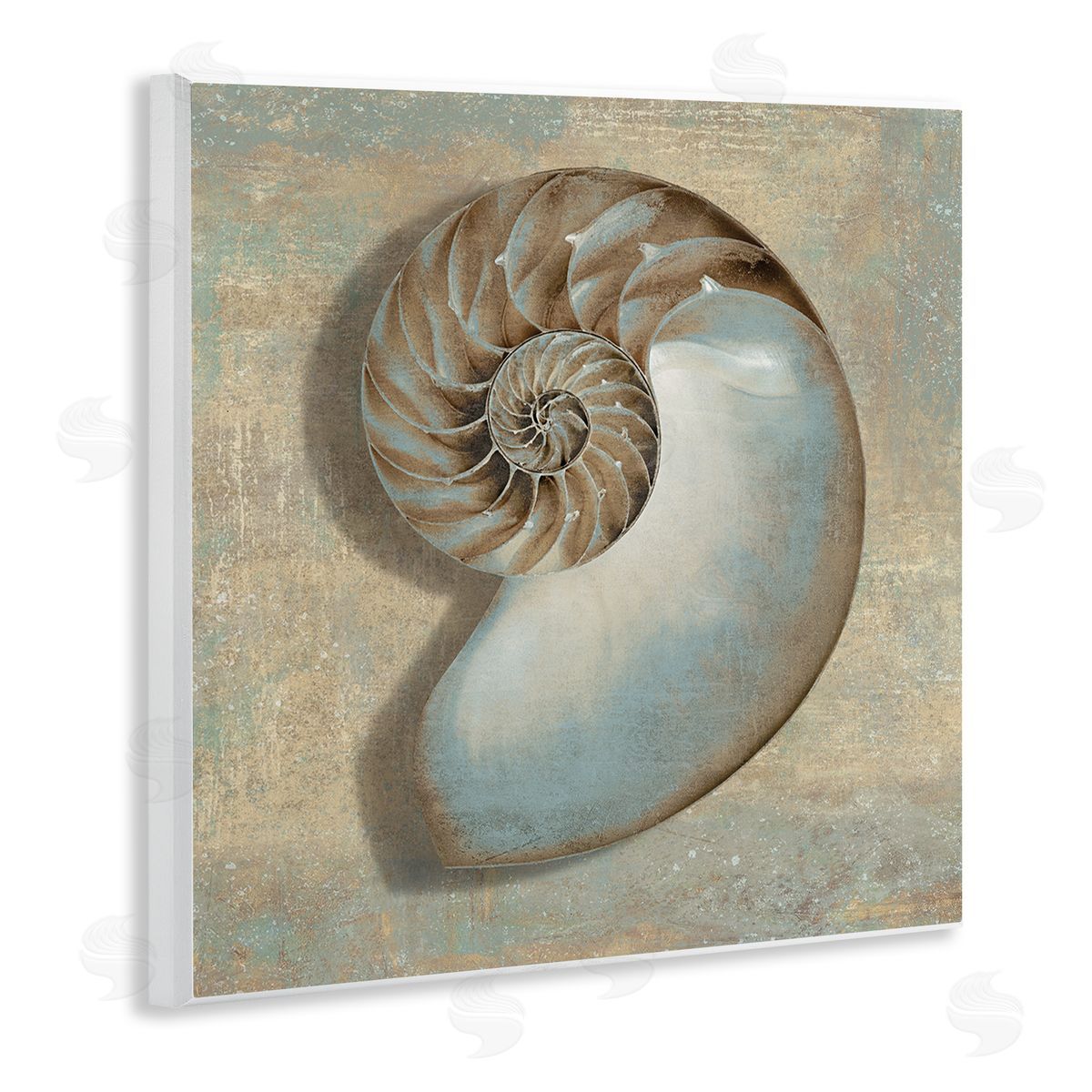 Shell Beach Objects Design Wood Plaque Wall Art, Home Decor by Caroline Kelly