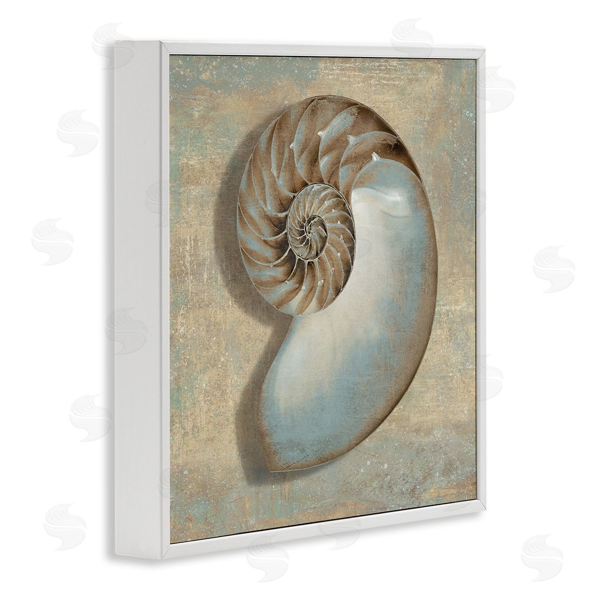 Shell Beach Objects Design White Frame Print Wall Art, Home Decor by Caroline Kelly