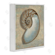 Caroline Kelly | Shell Beach Objects Design