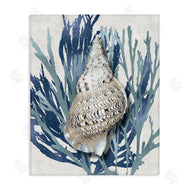 Caroline Kelly | Shell Coral Blue Beach Design