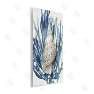 Caroline Kelly | Shell Coral Blue Beach Design