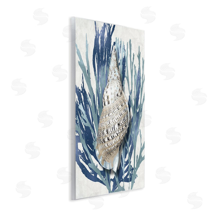 Caroline Kelly | Shell Coral Blue Beach Design