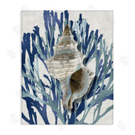 Caroline Kelly | Tower Shell Coral Blue Beach