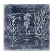 Deborah Devellier | Vintage European Seahorse