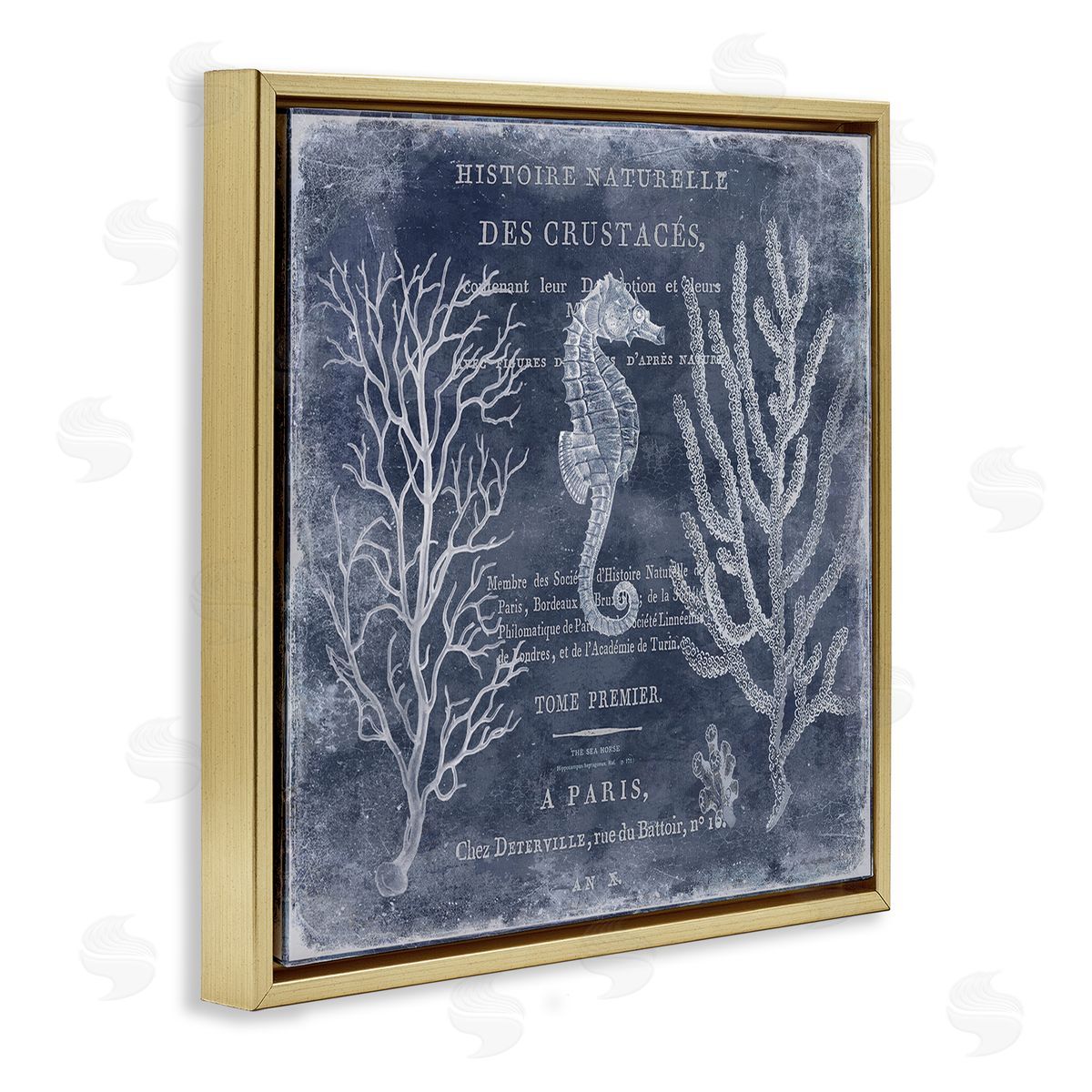 Vintage European Seahorse Gold Floating Frame Canvas Wall Art, Home Decor by Deborah Devellier
