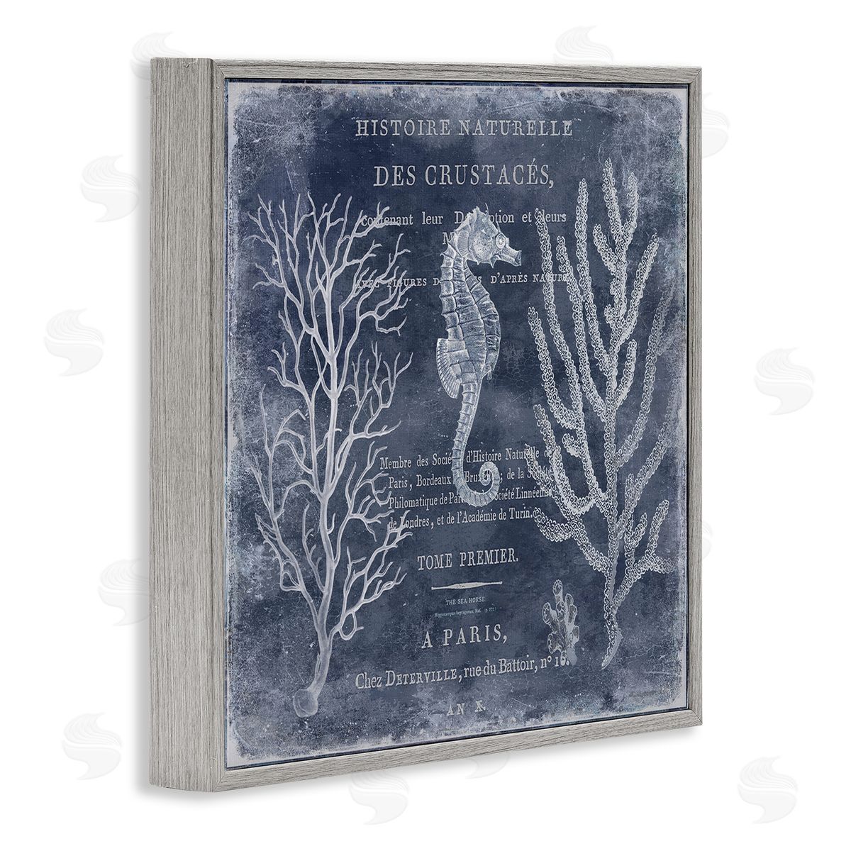 Vintage European Seahorse Grey Frame Print Wall Art, Home Decor by Deborah Devellier