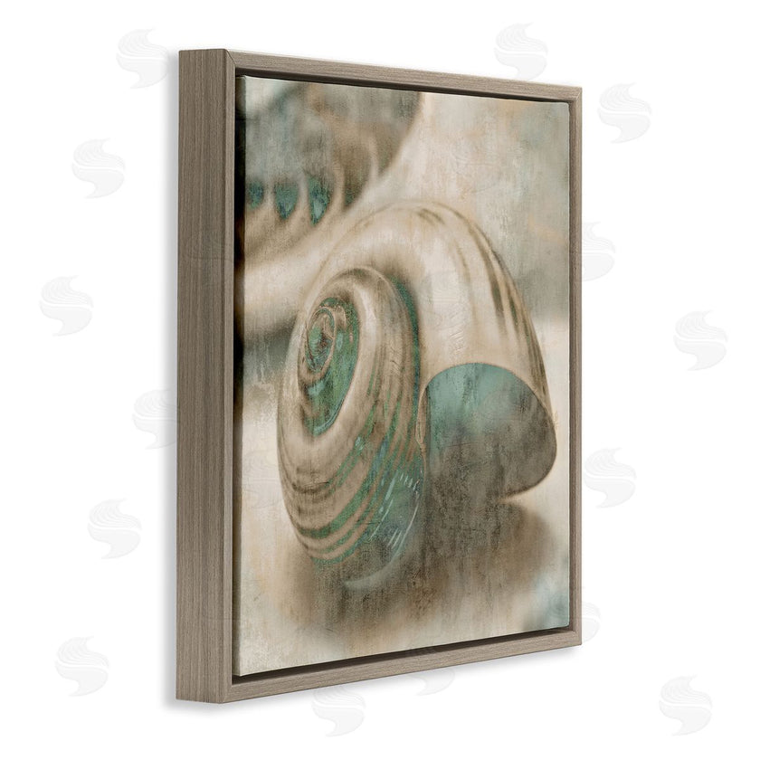 Ziwei Li | Centered Sharkeye Seashell