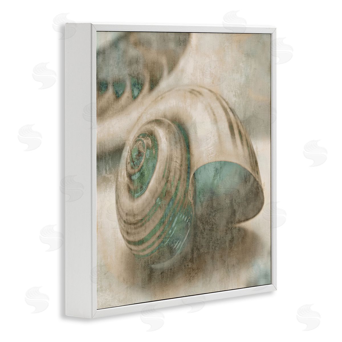 Centered Sharkeye Seashell White Frame Print Wall Art, Home Decor by Ziwei Li