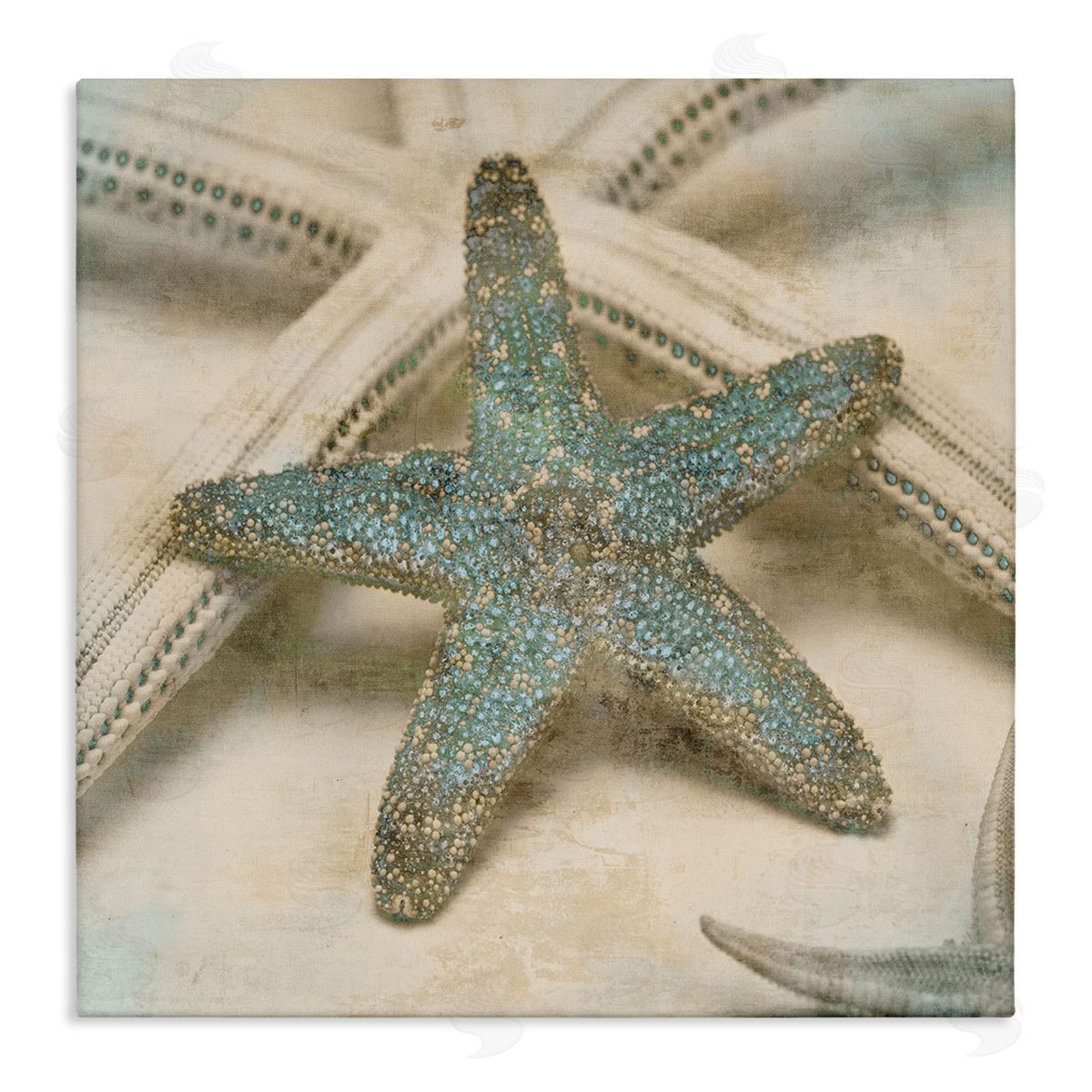 Distressed Texture Starfish Canvas Wall Art, Home Decor by Ziwei Li