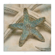 Ziwei Li | Distressed Texture Starfish