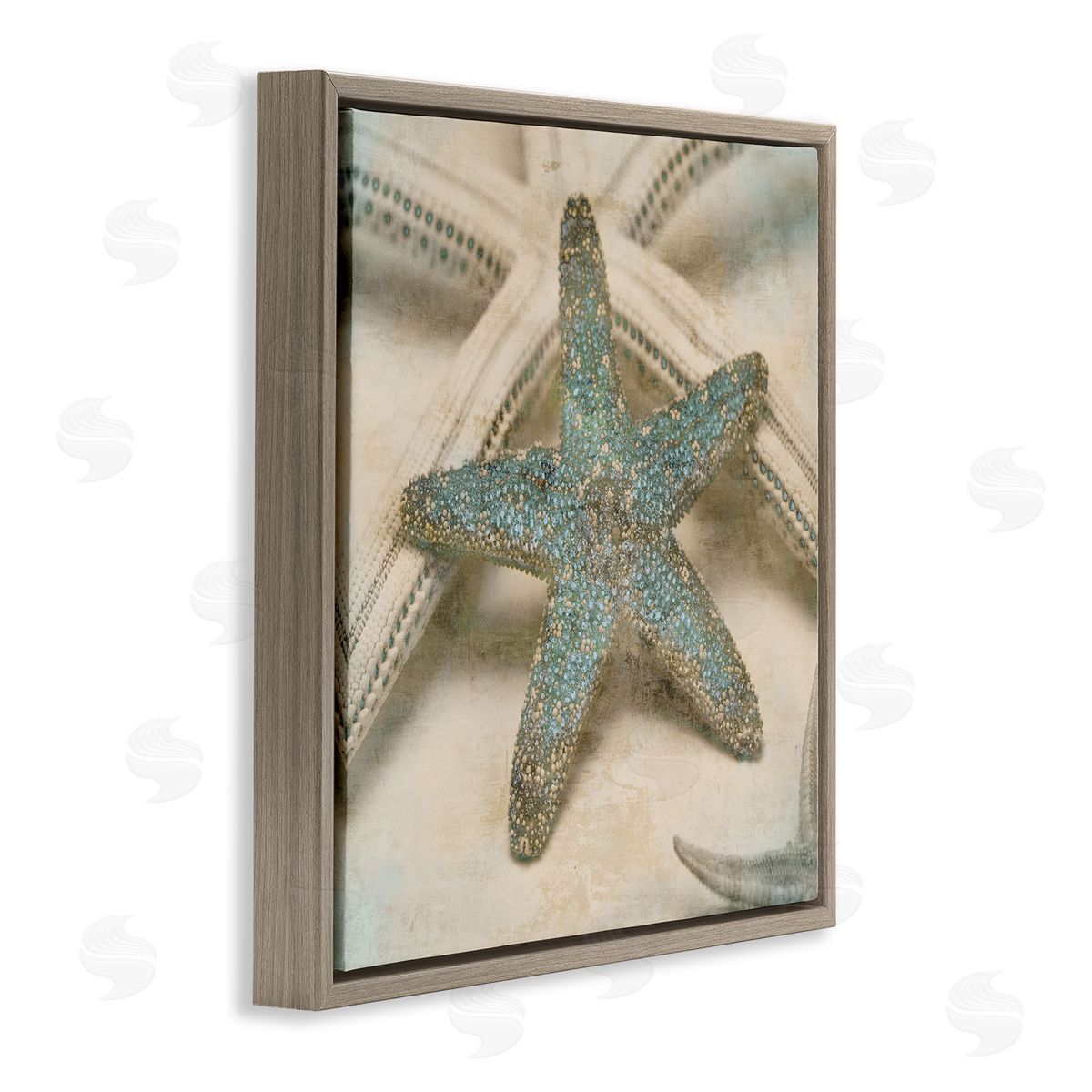 Distressed Texture Starfish Brown Floating Frame Canvas Wall Art, Home Decor by Ziwei Li