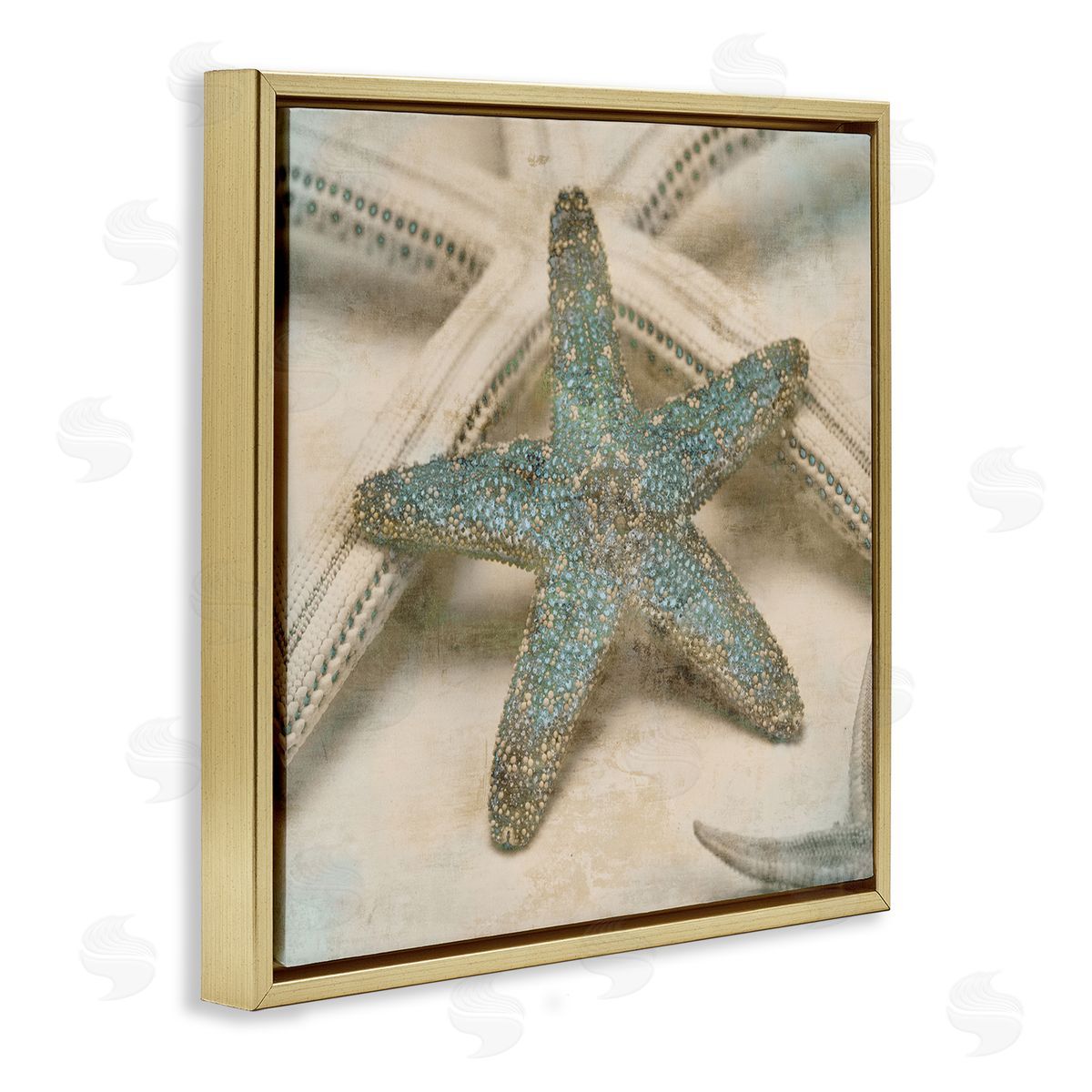 Distressed Texture Starfish Gold Floating Frame Canvas Wall Art, Home Decor by Ziwei Li