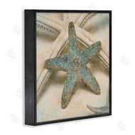 Ziwei Li | Distressed Texture Starfish
