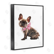 Amanda Greenwood | Puppy Pink Bow Cute Pet Dog