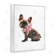 Amanda Greenwood | Puppy Pink Bow Cute Pet Dog