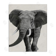 Ziwei Li | Elephant Marching Safari Animal