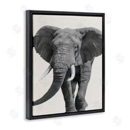 Ziwei Li | Elephant Marching Safari Animal