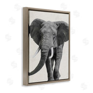 Ziwei Li | Elephant Marching Safari Animal