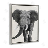 Ziwei Li | Elephant Marching Safari Animal