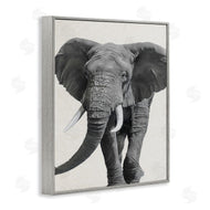 Ziwei Li | Elephant Marching Safari Animal