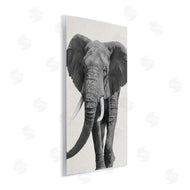 Ziwei Li | Elephant Marching Safari Animal